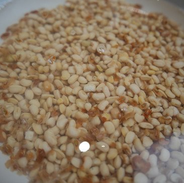 soaked and partially peeled honey beans