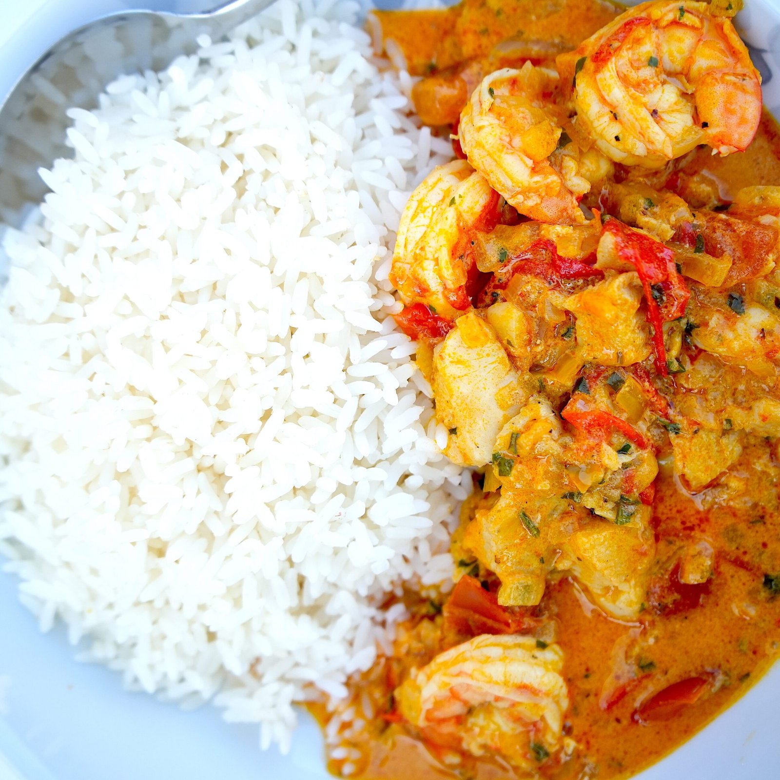 a serving of moqueca and white rice